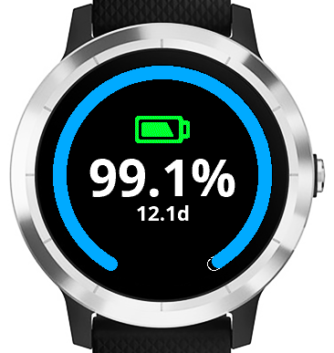 Garmin connect outlet widget