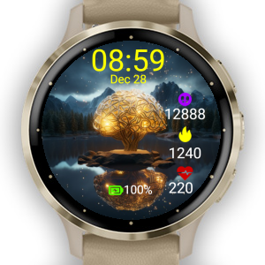 Galaxy watch store garmin connect