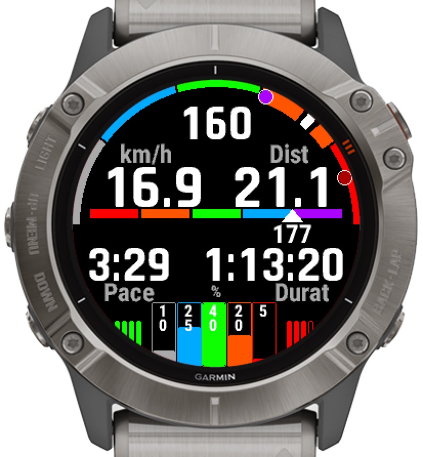 Garmin fenix best sale 6x apps