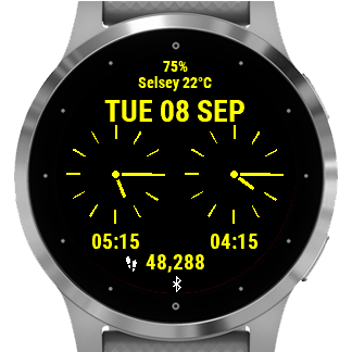 Wear os sale garmin connect