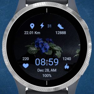 Gear s3 best sale garmin connect