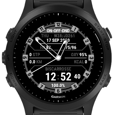 Garmin shn tactical pro sale code