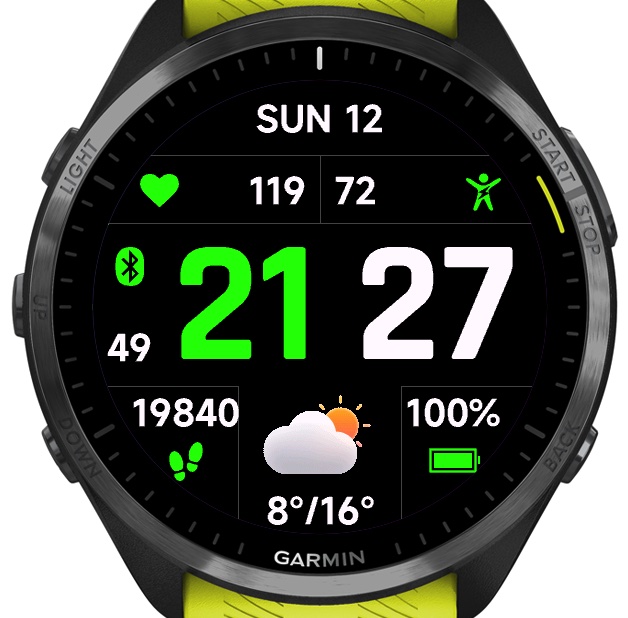 Garmin forerunner 245 music best sale watch faces