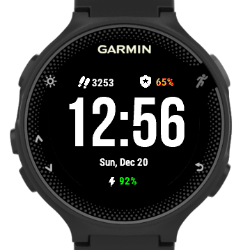 Garmin store watch steps