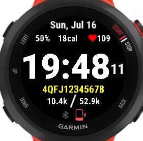 App garmin best sale forerunner 45