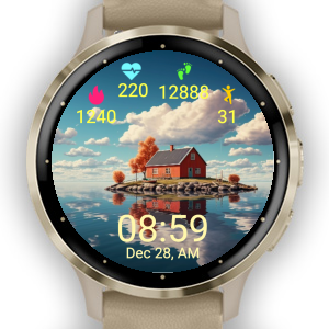 Galaxy watch store garmin connect