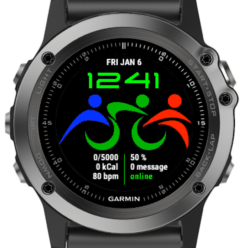 garmin fenix triathlon