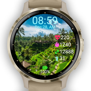 Garmin connect store samsung watch