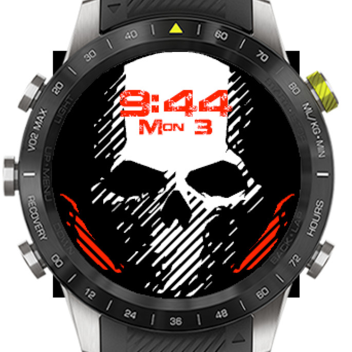 Garmin