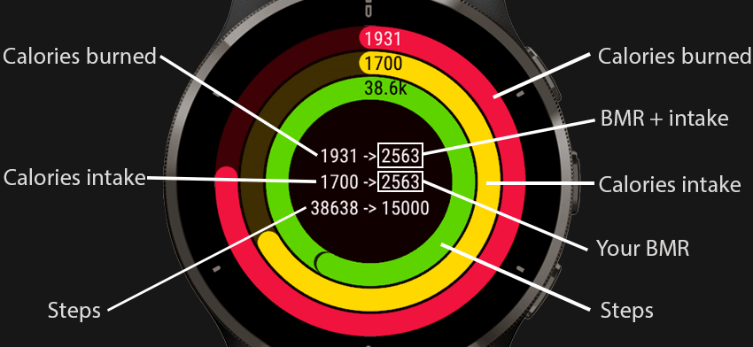 Garmin watch calorie online counter