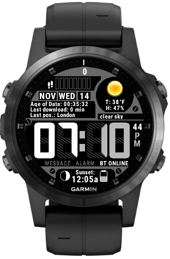 garmin fenix 5 languages