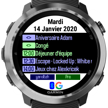 Google Calendar Garmin Connect IQ