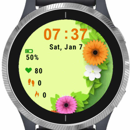 garmin watch updates