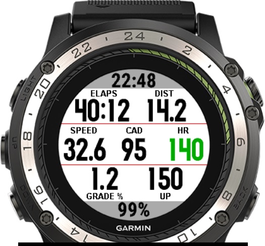 Garmin D2 Charlie Pilot Watch