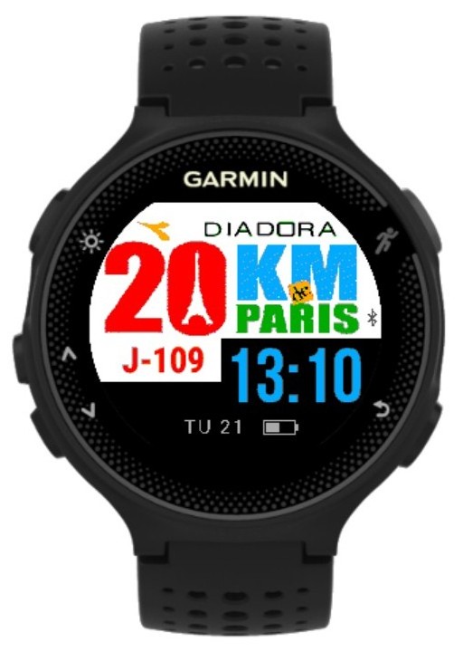 Reloj best sale garmin paris