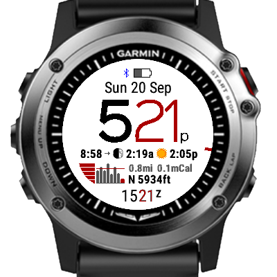 garmin old