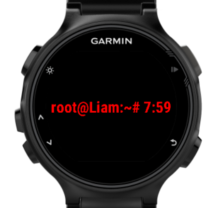 terminal Garmin Connect IQ