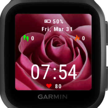 garmin watch updates