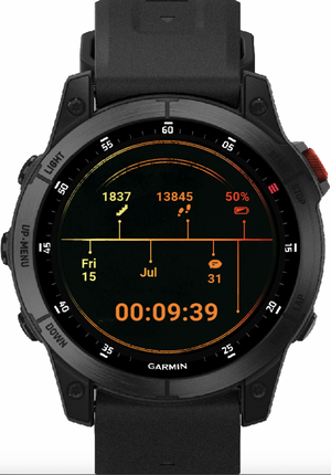 Quadranti hot sale garmin venu