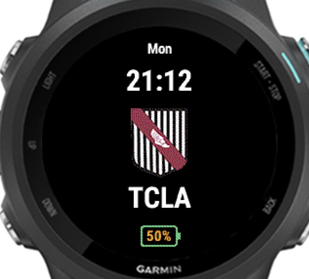 Garmin forerunner best sale 645 watch faces