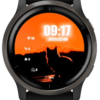 App garmin best sale forerunner 30