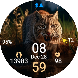 Lets go hunting