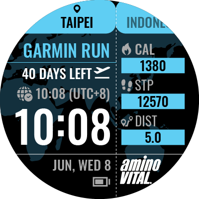 2024 GARMIN ASIA VIRTUAL RUN