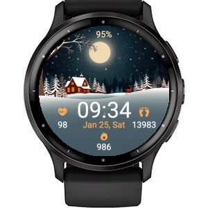 Winter Night