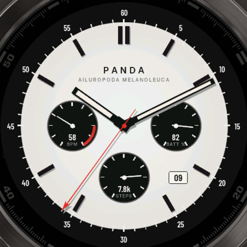 Safari Chrono