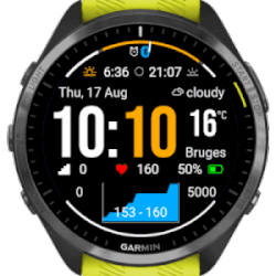 Garmin forerunner 45 watch faces best sale