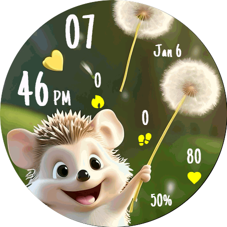 Hedgehog Wish