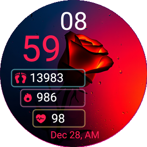 Valentine Rose