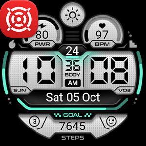 OMG 428 - Digital LCD