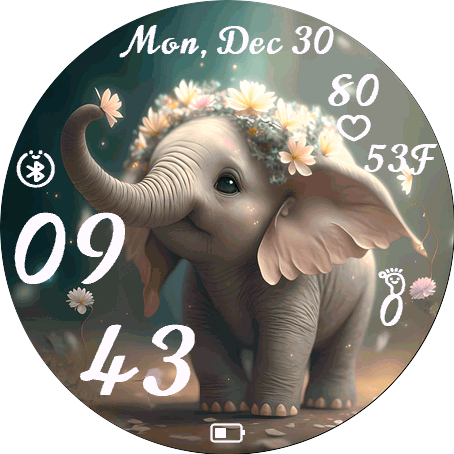 Charming Elephant