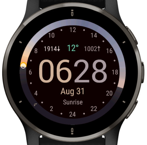 Garmin forerunner 245 music watch faces sale