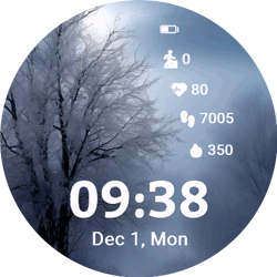 Silent Winter