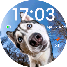 Siberian