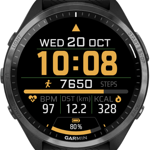 The Watch