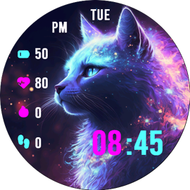 Galaxy Cat