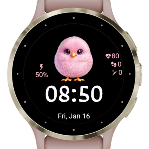 Cute Pink Chick