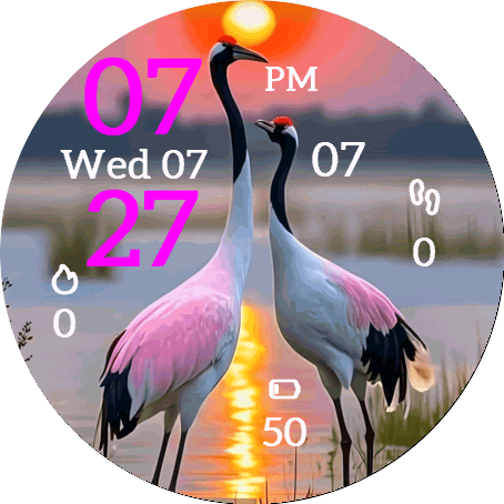 Evening Waterfowl