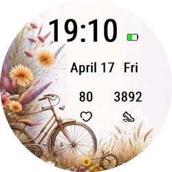 Bicycle Blooms