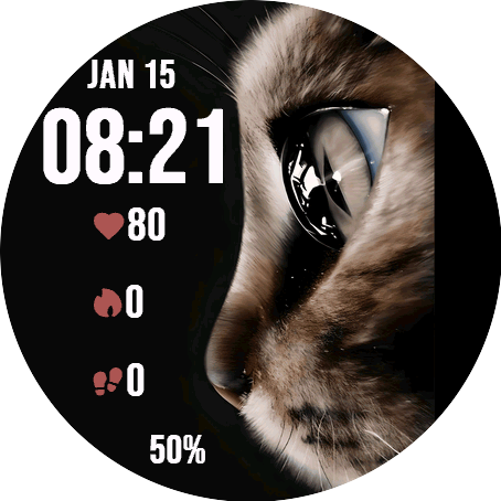 Feline Glance