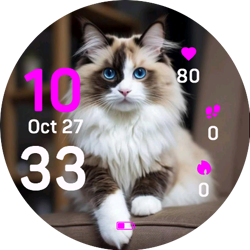 Daily Cat