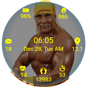 WWF Superstar Hulk Hogan