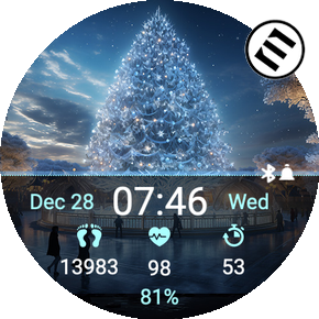 Christmas BN