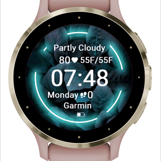 Connect iq store vivoactive sale