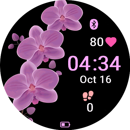 Purple Orchid