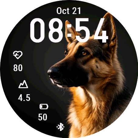 Big Dog