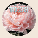 Daily Bloom